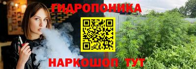 прущие крисы Гатчина