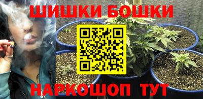 прущие крисы Гатчина
