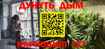 прущие крисы Гатчина