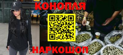 прущие крисы Гатчина
