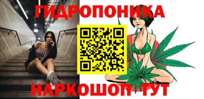 гидропоника Гагарин
