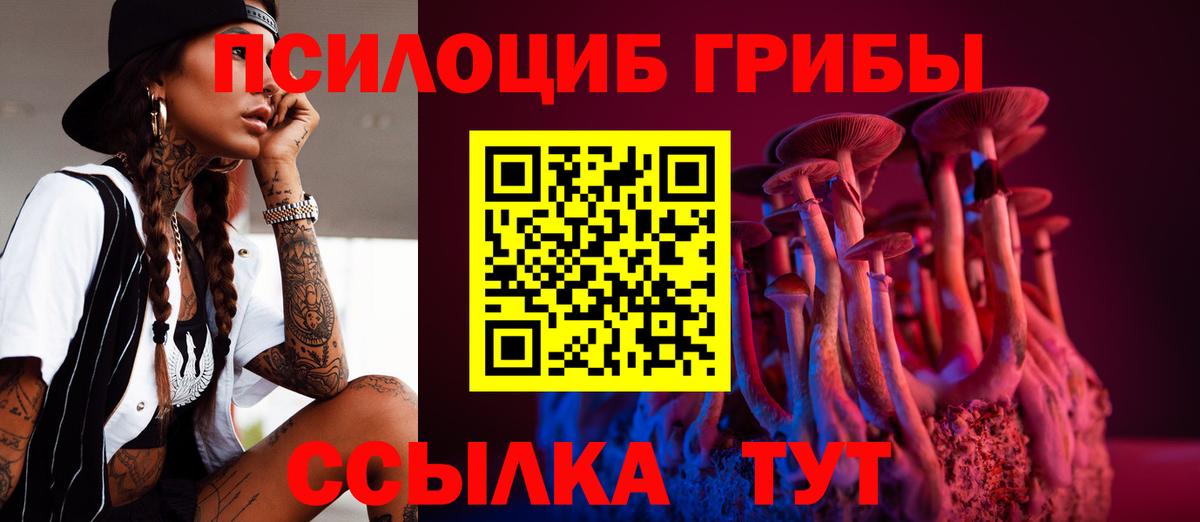 Мыски  Псилоцибиновые грибы Magic Shrooms  Вход с VPN 