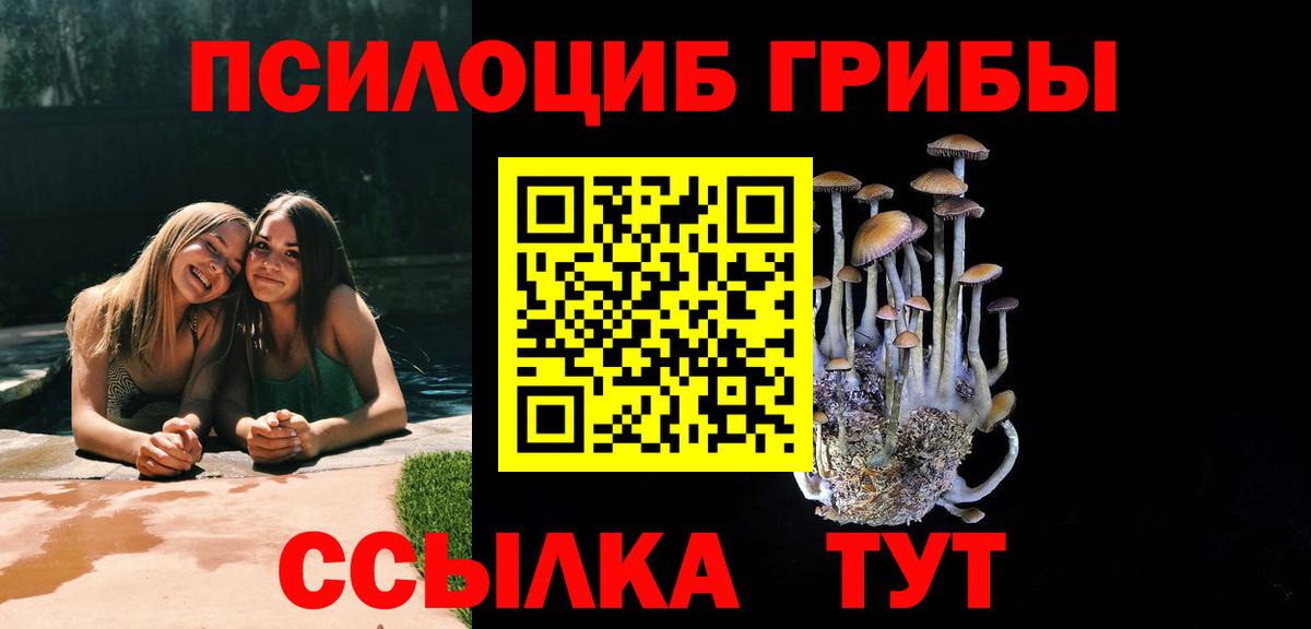 Псилоцибиновые грибы мицелий Мыски